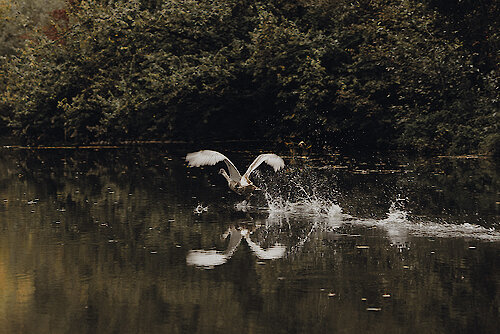 Landesgartenschaugelände Amberg in der Oberpfalz
